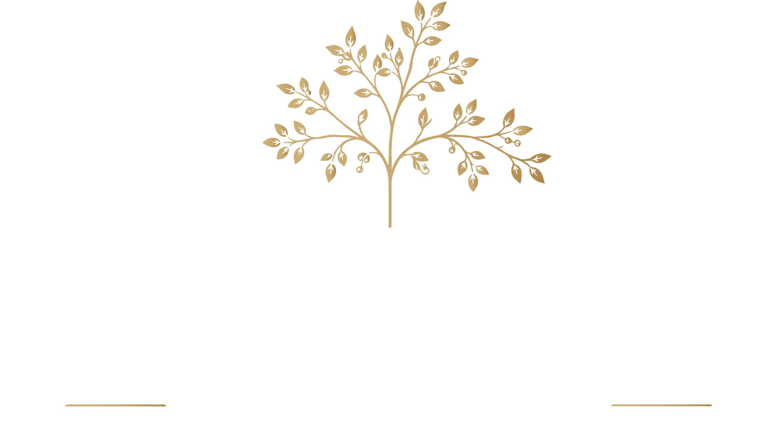 Adorned Events